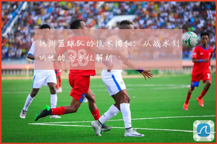 杭州篮球队的技术揭秘：从战术到训练的全方位解析