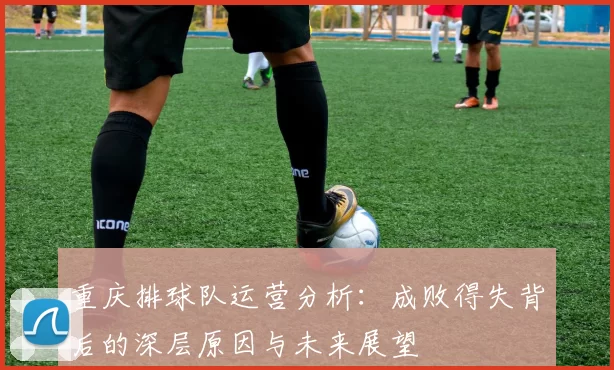 重庆排球队运营分析：成败得失背后的深层原因与未来展望