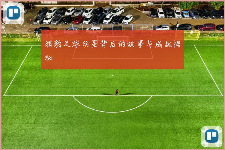 猎豹足球明星背后的故事与成就揭秘